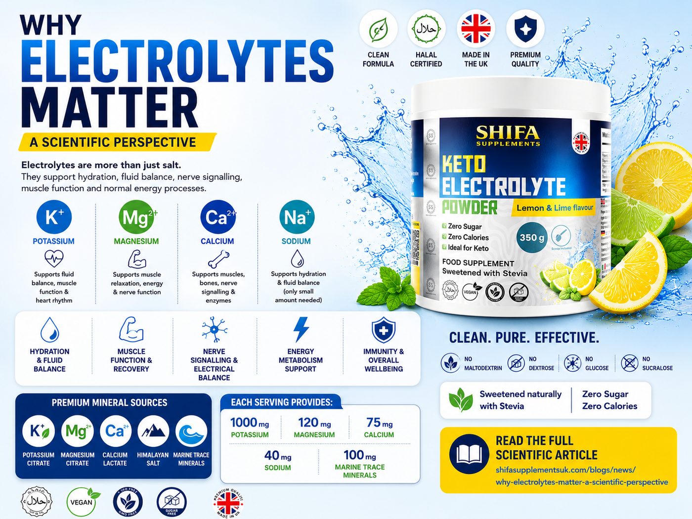 Why Electrolytes Matter: A Scientific Perspective